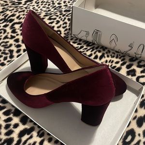 Velvet Dress Shoes 👠